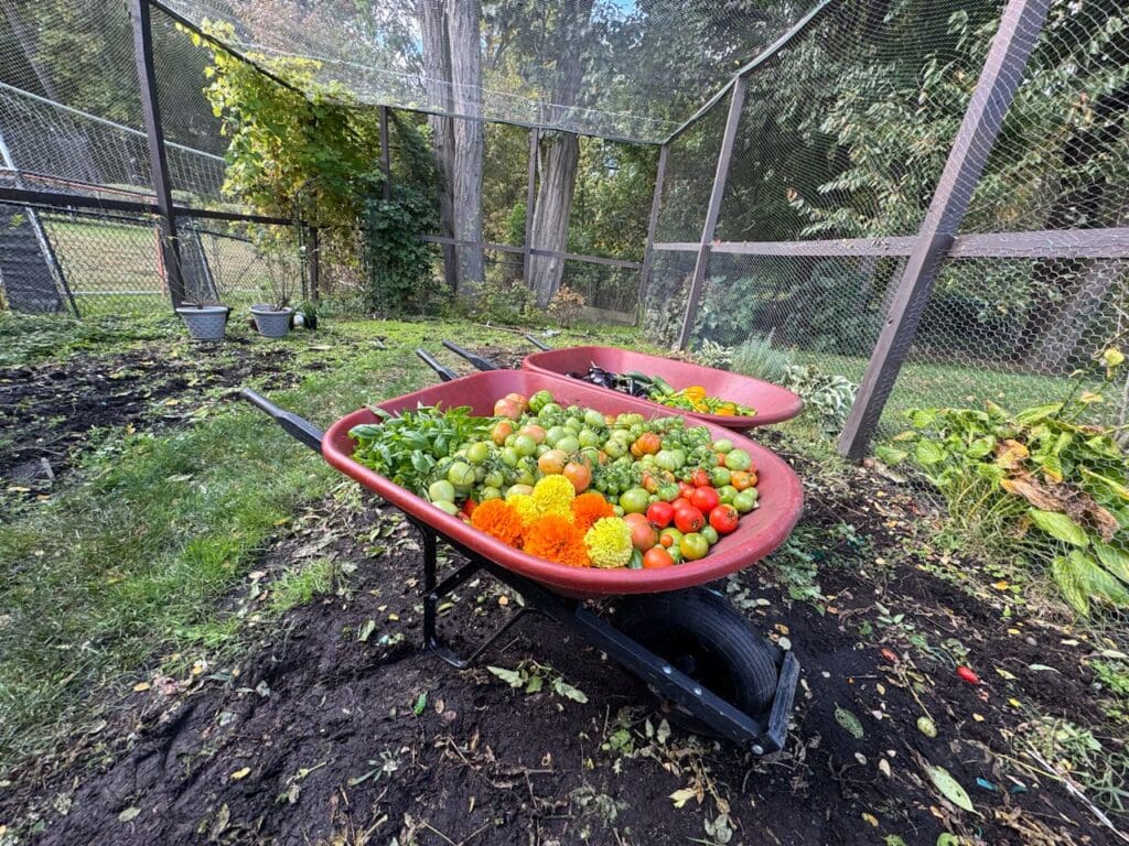 photo_16_2024-10-09_18-15-57