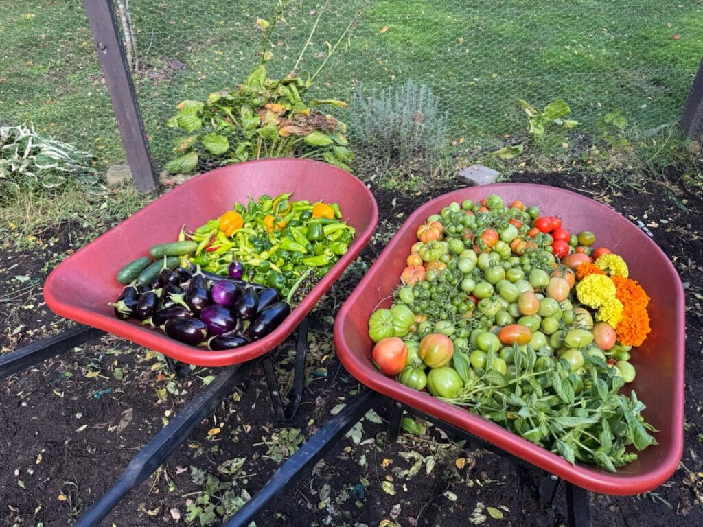 photo_17_2024-10-09_18-15-57