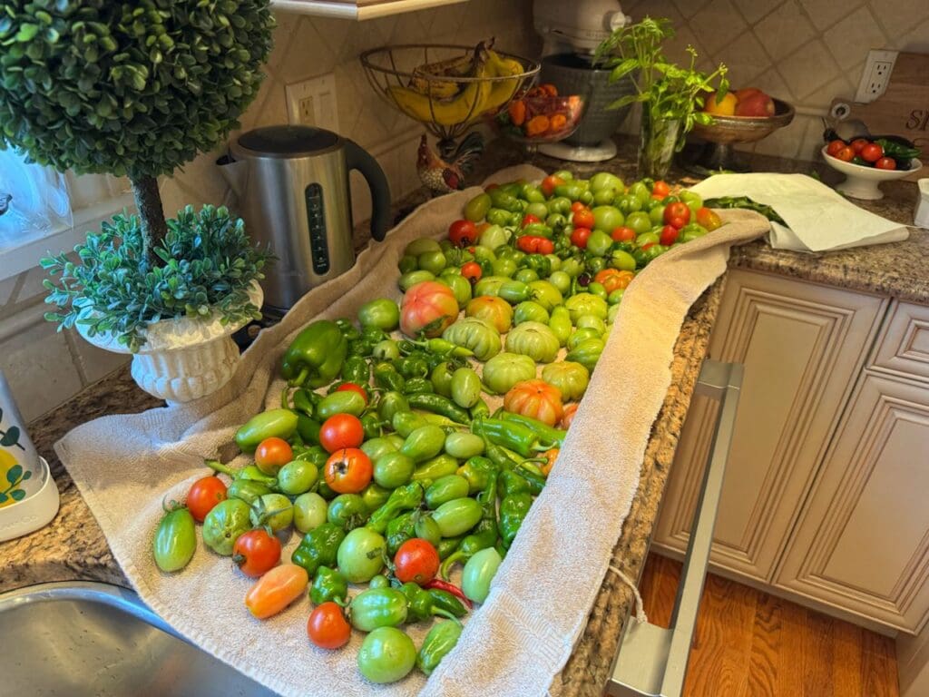 photo_18_2024-10-09_18-15-57