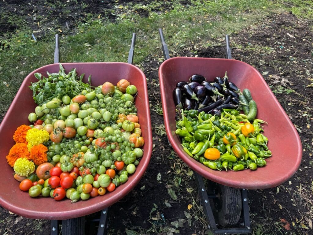 photo_19_2024-10-09_18-15-57