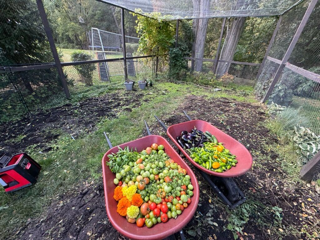 photo_1_2024-10-09_18-15-57