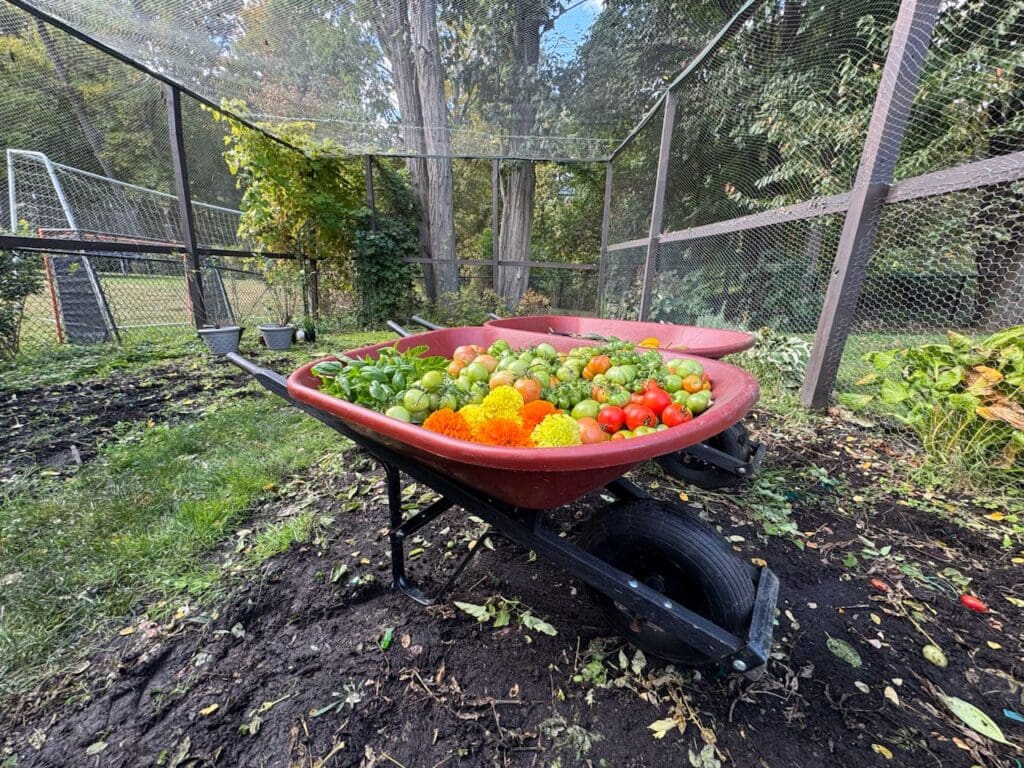 photo_21_2024-10-09_18-15-57