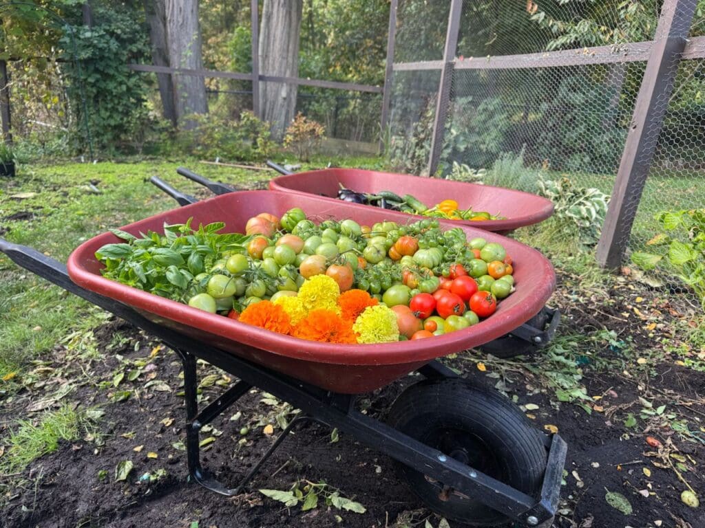 photo_22_2024-10-09_18-15-57