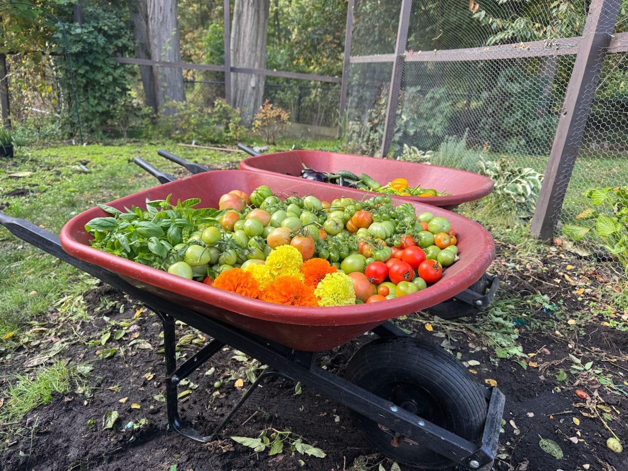 Image hover effect image