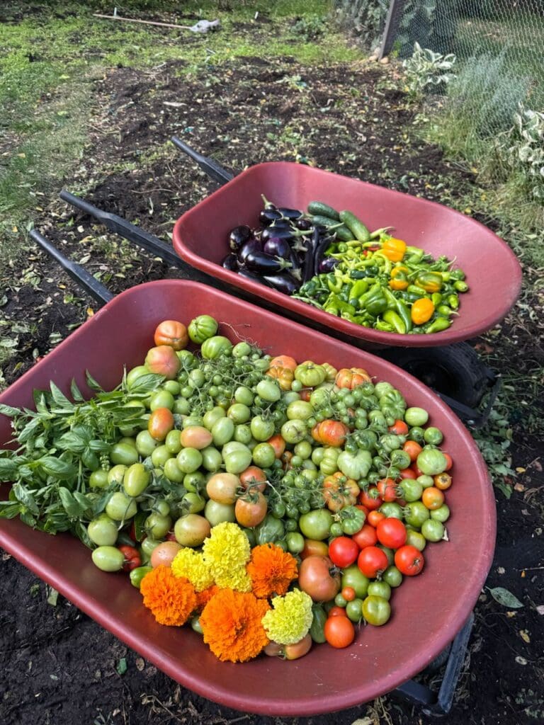 photo_23_2024-10-09_18-15-57