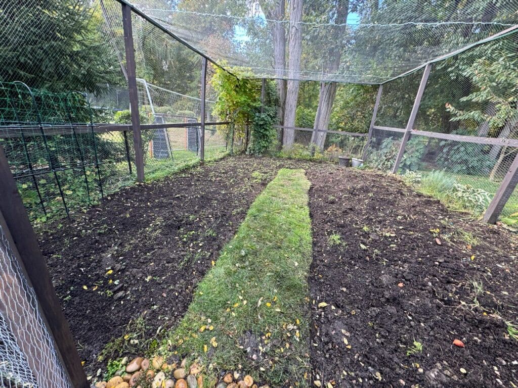 photo_24_2024-10-09_18-15-57