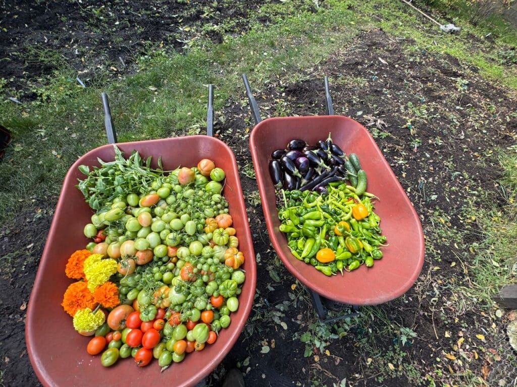 photo_2_2024-10-09_18-15-57