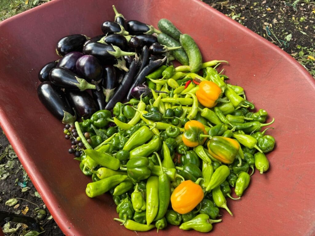 photo_3_2024-10-09_18-15-57