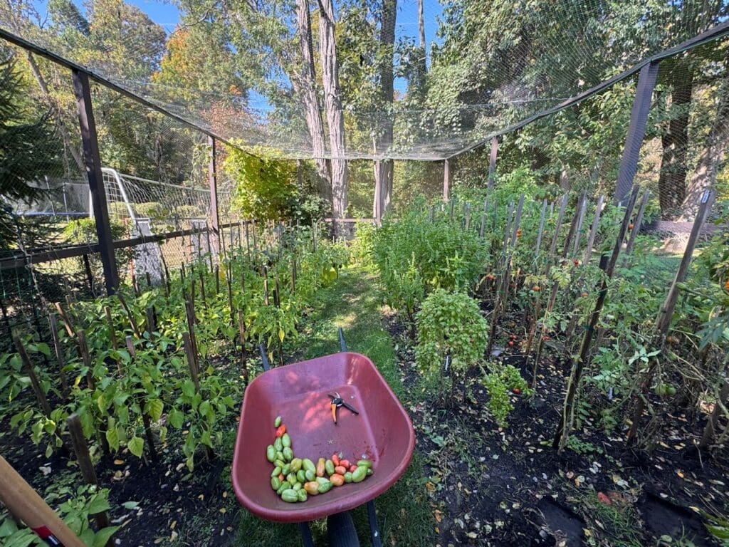 photo_4_2024-10-09_18-15-57