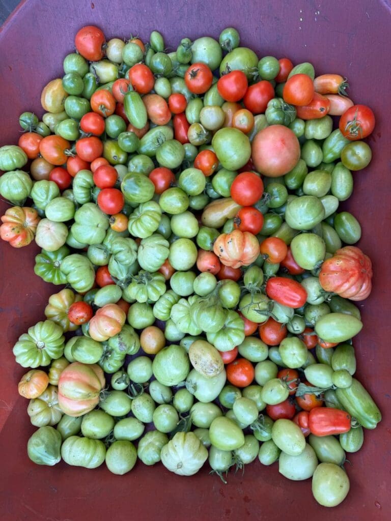 photo_5_2024-10-09_18-15-57