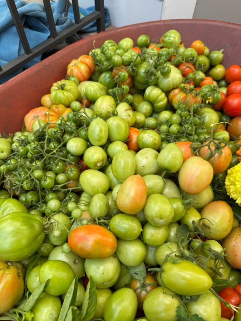 photo_6_2024-10-09_18-15-57