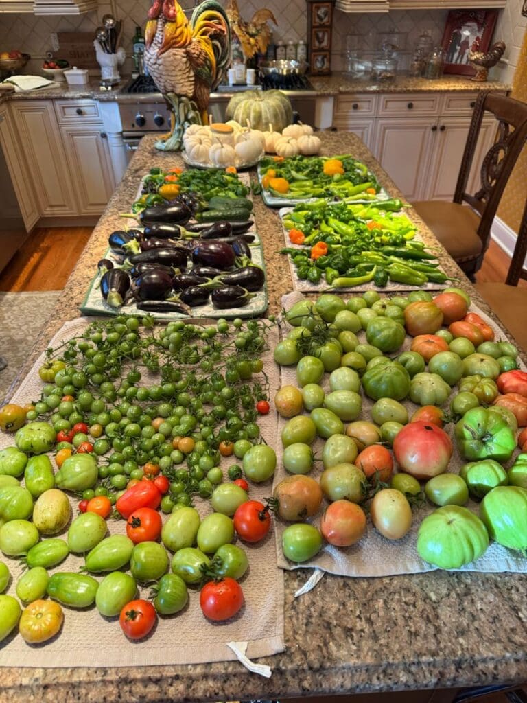 photo_7_2024-10-09_18-15-57