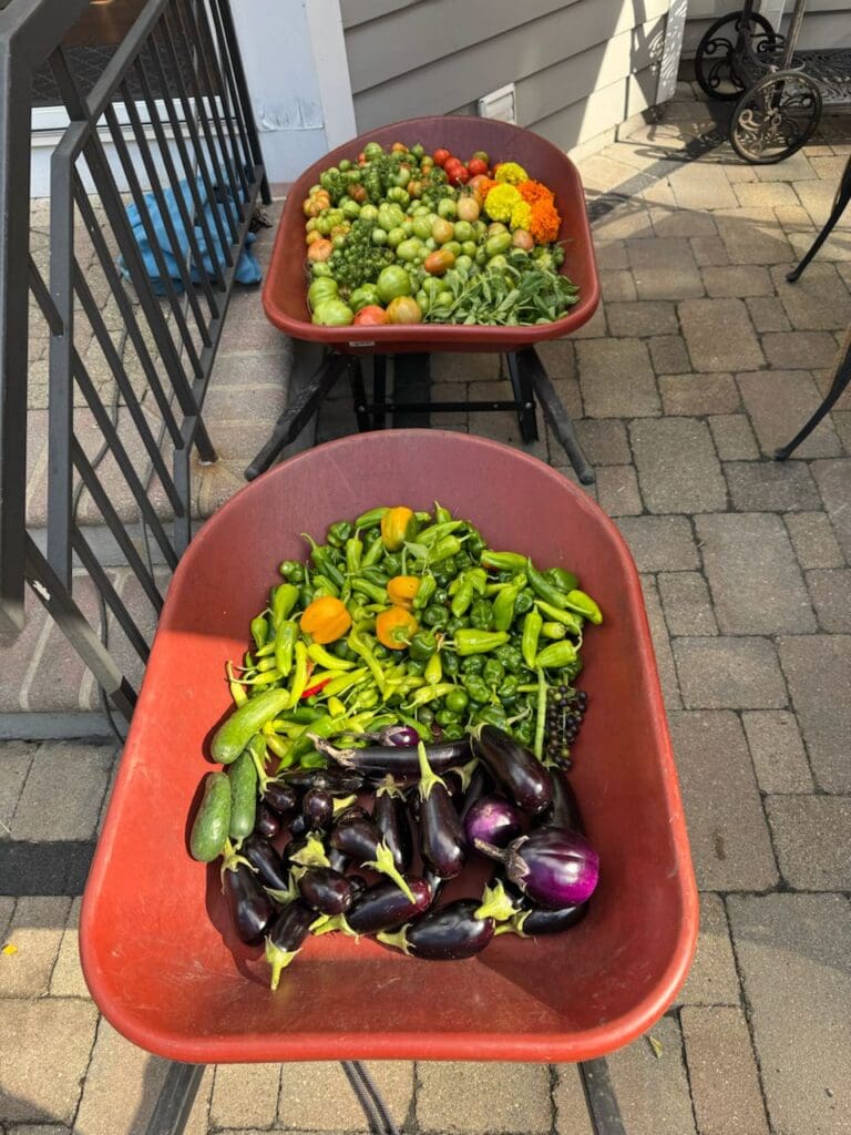 photo_8_2024-10-09_18-15-57