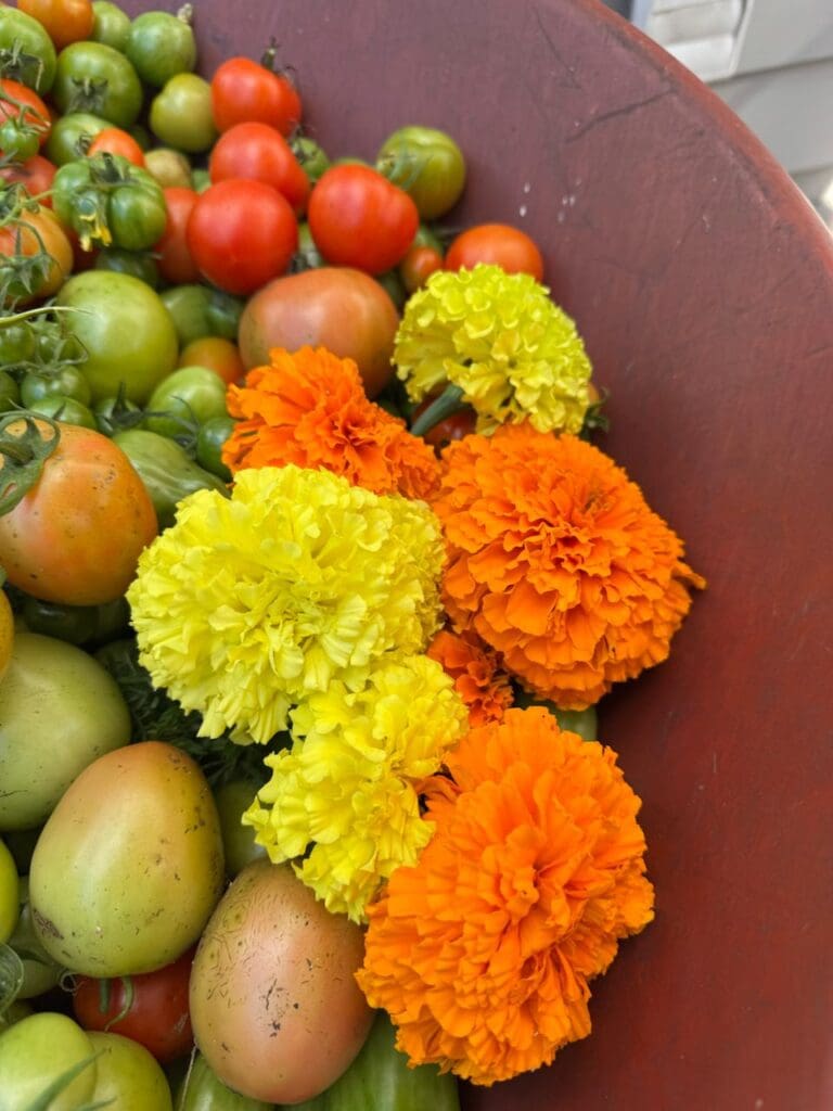 photo_9_2024-10-09_18-15-57