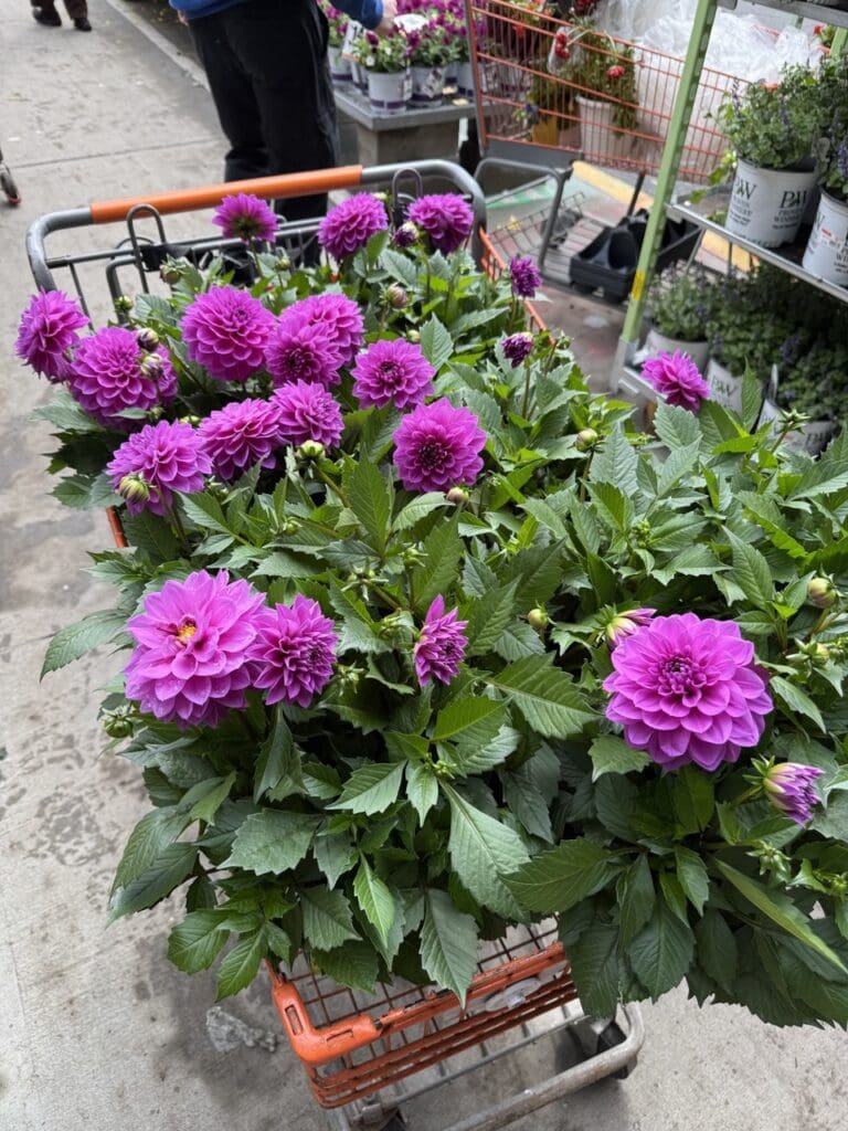 photo_1_2025-04-21_11-57-37