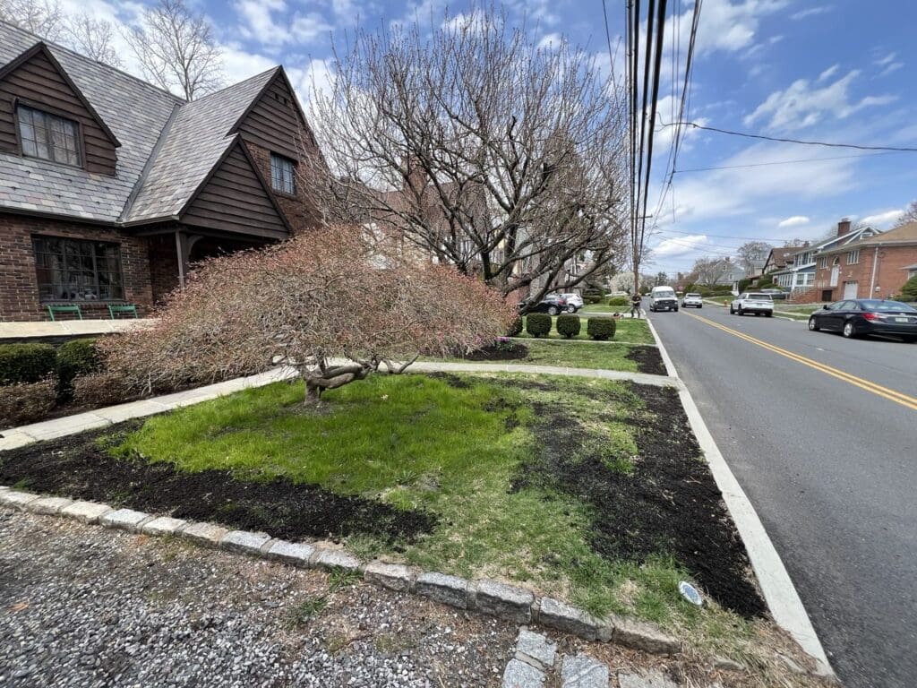 photo_2025-04-21_11-57-17