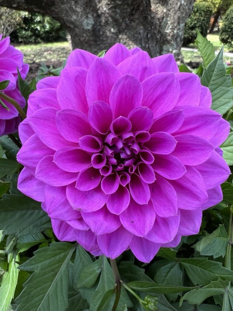 photo_2025-04-21_11-57-25