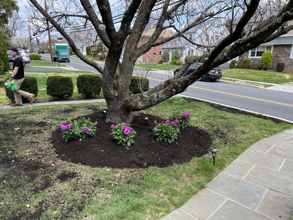 photo_2_2025-04-21_11-57-37