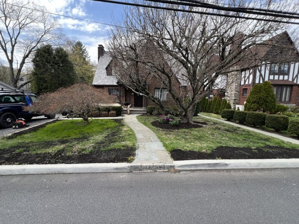 photo_3_2025-04-21_11-57-37