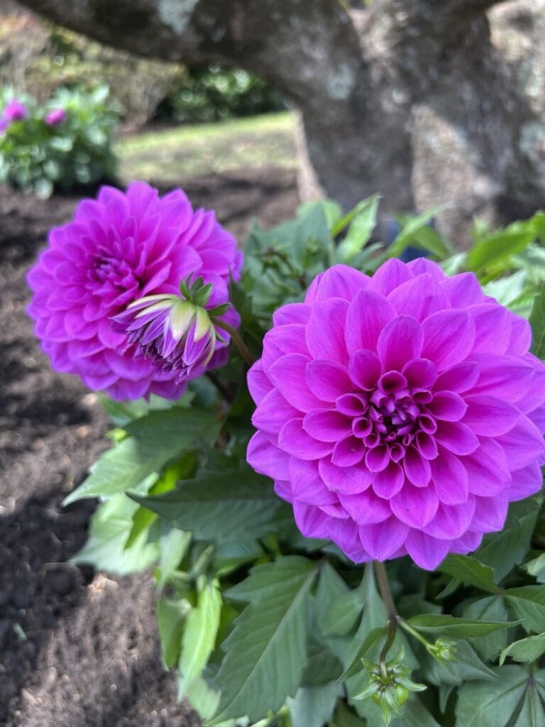 photo_4_2025-04-21_11-57-37