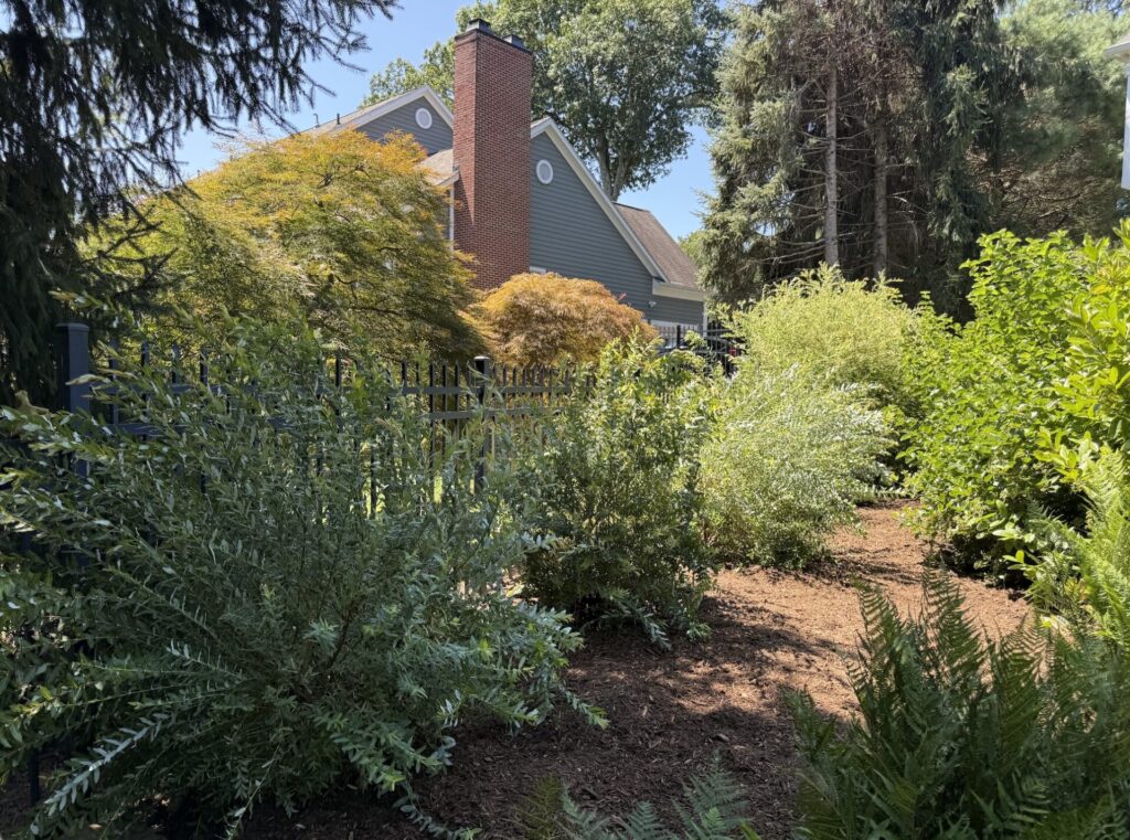 Screenshot 2025-10-24 at 10.48.50 PM