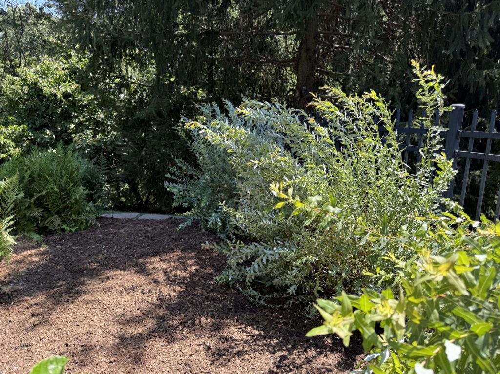 Screenshot 2025-10-24 at 10.49.12 PM