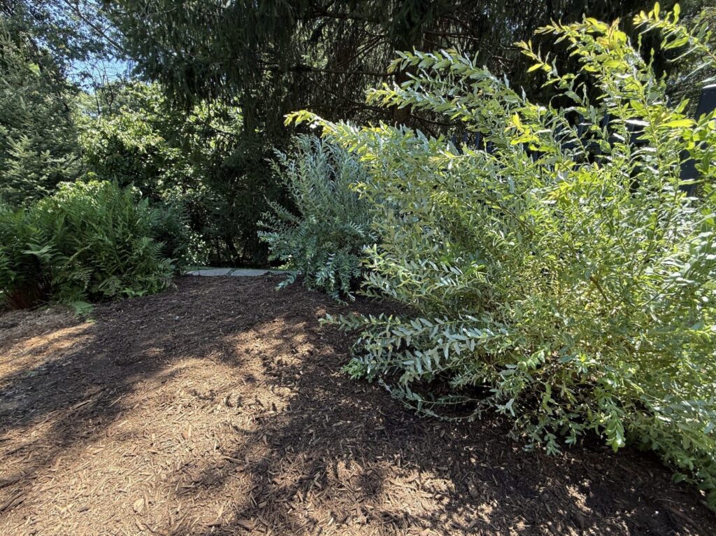 Screenshot 2025-10-24 at 10.49.23 PM