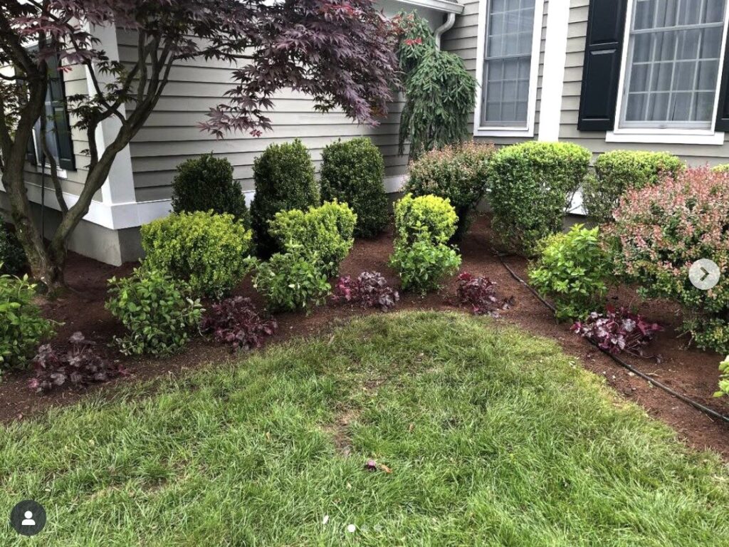 Screenshot 2025-10-24 at 9.30.38 PM