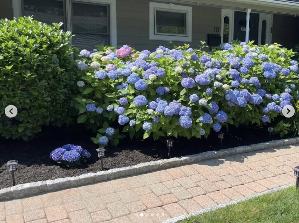 Screenshot 2025-10-24 at 9.30.59 PM