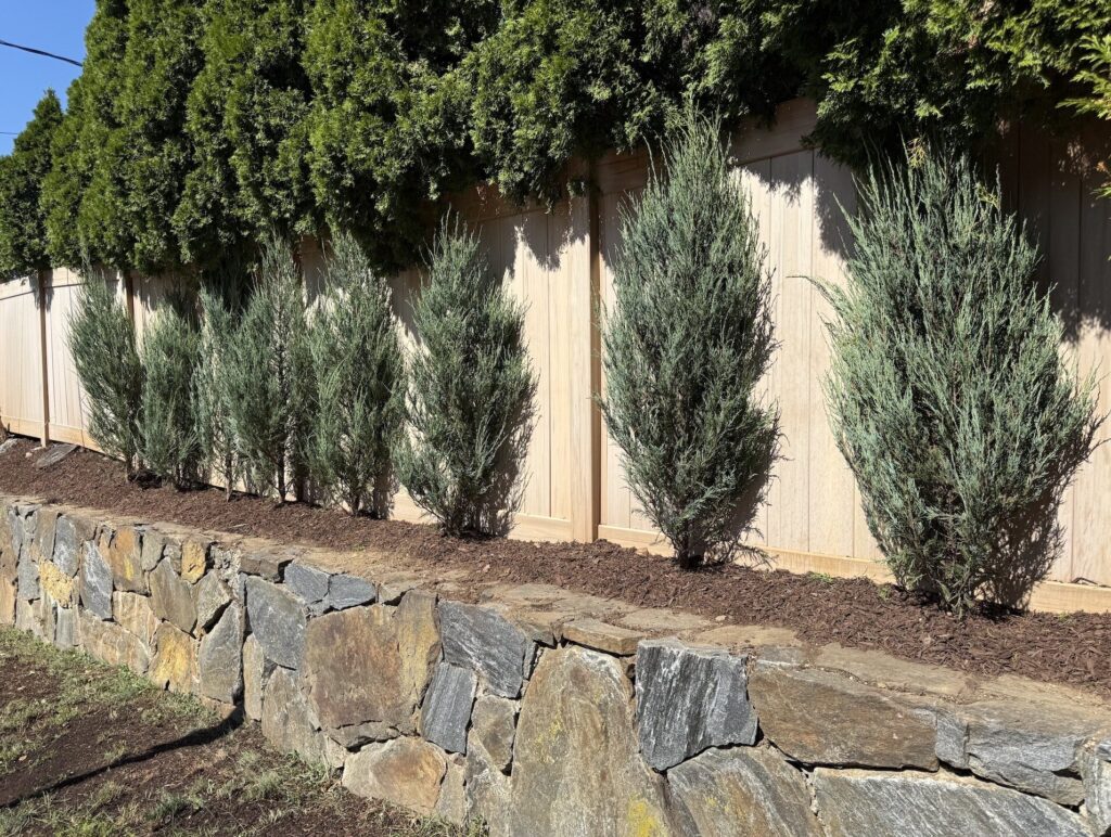 Screenshot 2025-10-25 at 10.02.51 AM