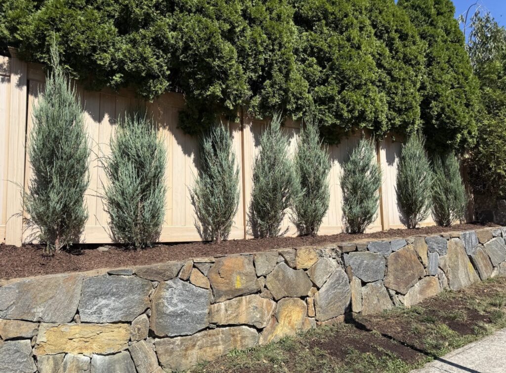 Screenshot 2025-10-25 at 10.03.04 AM