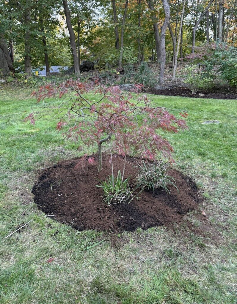 Screenshot 2025-10-25 at 10.52.32 AM