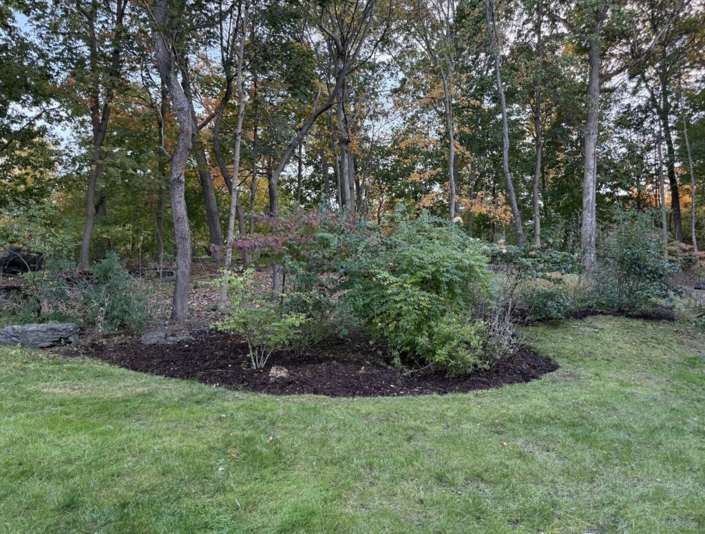 Screenshot 2025-10-25 at 10.56.59 AM