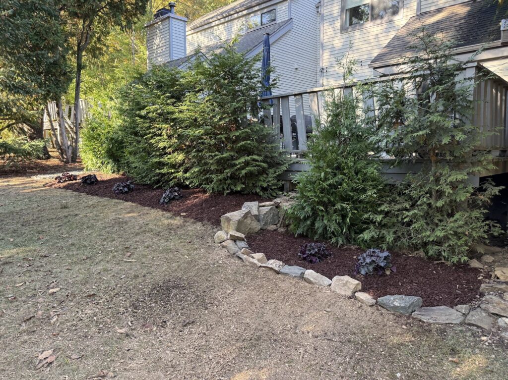 Screenshot 2025-10-25 at 11.17.16 AM