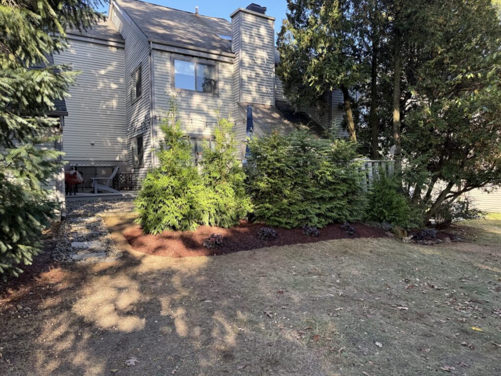 Screenshot 2025-10-25 at 11.17.29 AM