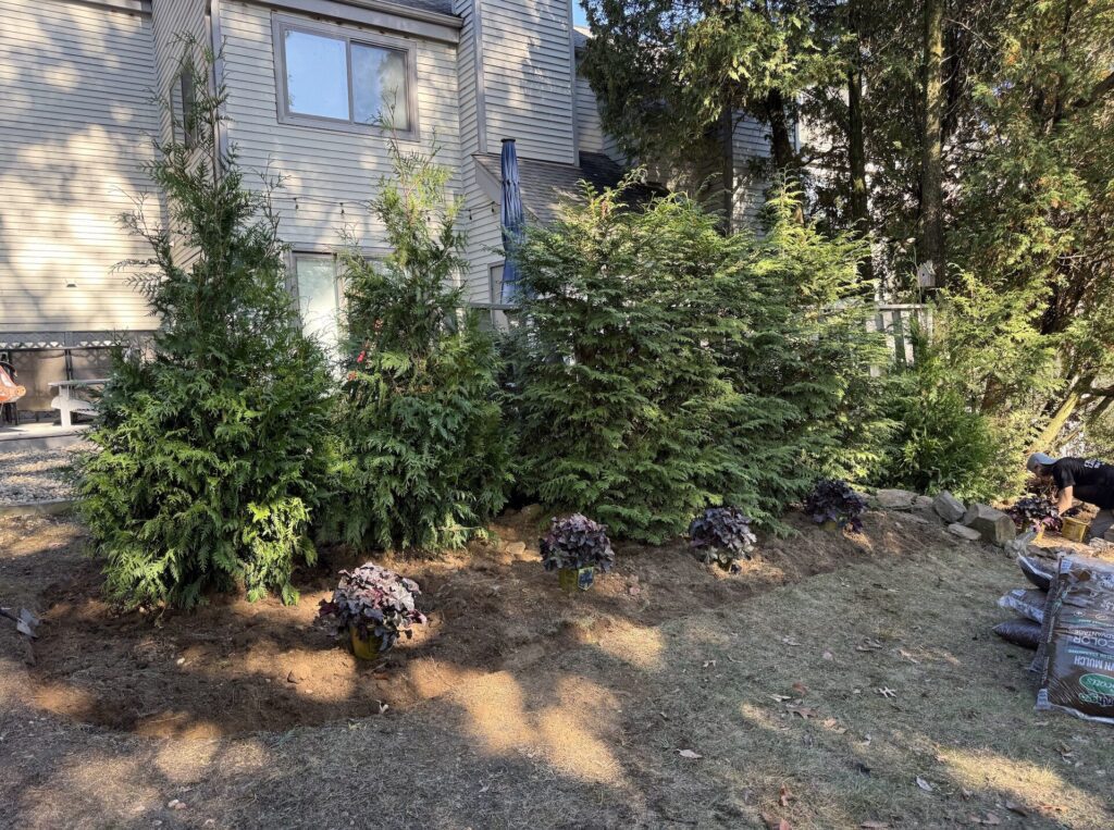 Screenshot 2025-10-25 at 11.17.39 AM